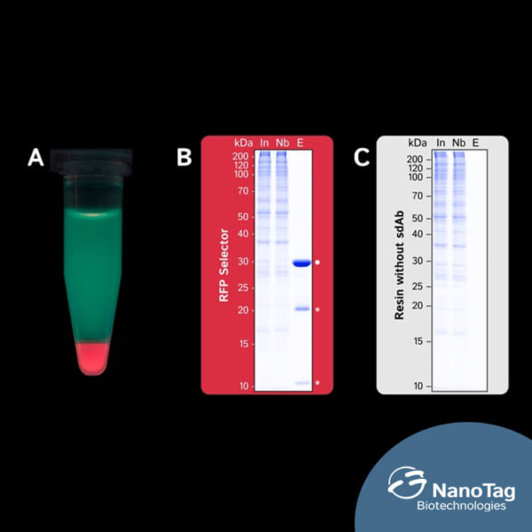 RFP Selector - Image 3