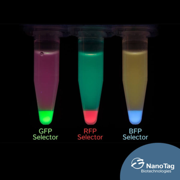 RFP Selector - Image 2